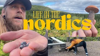 Life in the Nordics 🌲 | Foraging Blueberries, Mushrooms & Nosework Training with Our Dogs
