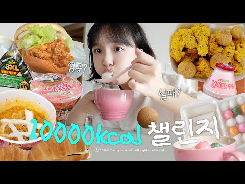 ⏰진짜 해보고 싶었던 24시간동안 1만 칼로리 먹기(with.도님), 하루만에 +1kg ★ vlog