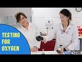 Science with Hazel: Testing for Oxygen