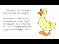 A Jornada do Pato para a Festa de São Benedito
