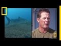 Shark Behavior and Ecological Impact