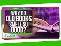 Understanding Book Scents