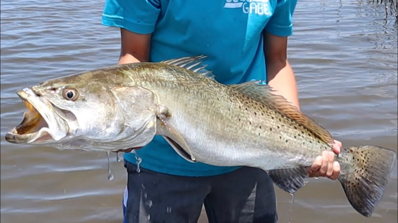 MONSTER 30 INCH TROUT & FLOUNDER Catch Clean and Cook - Bluegabe