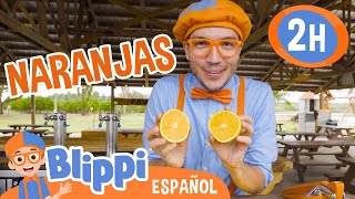 Recolectando naranjas con Blippi 🍊 Blippi Español | Videos educativos para niños | Aprende y Juega