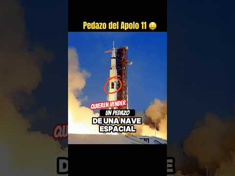 Pedazo del Apolo 11 #curiosolee #elpreciodelahistoria #antiguedades #coleccionismo #coleccion