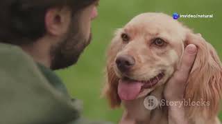 Understanding Dog Body Language: What Your Dog Is Really Saying
