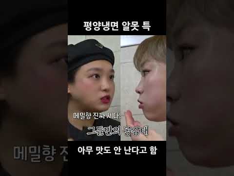 평양냉면 알못 특