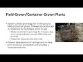 Container Production and Nursery Management
