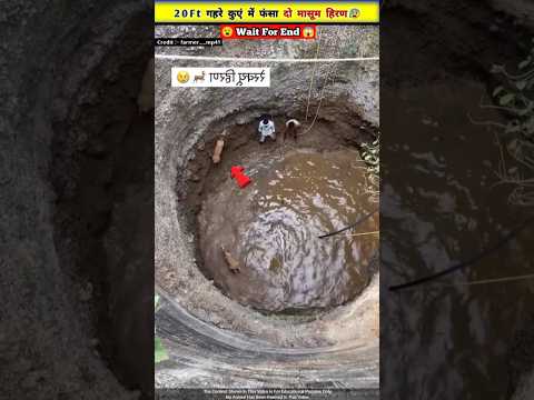 कुएं में फंसे 2 मासूम हिरण की बचाई जान 😱🥺