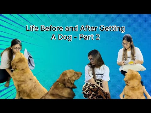 Life Before and After Getting A Dog - Part 2 😂🥹❤️😣