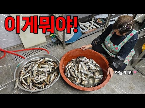 도대체 얼마나 잡은 걸까요?! 귀한 어종 다 나왔다! 그것도 많이..