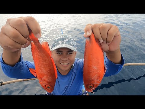 Mapupulang isda sandali lang nahuli