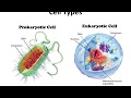 Organism Classification and Characteristics