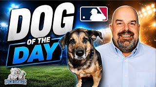 MLB Picks and Predictions for Today 10/23/2026 | Dawg of the Day 