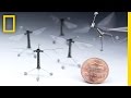 Robotics: The Next Big Thing