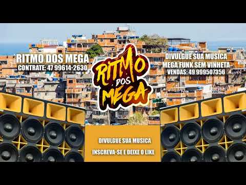 MEGA SEGURA A MÃO E COLOCA - DJ ANDRÉ SC