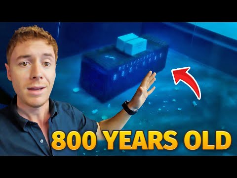 You WON'T believe what China Found in the Ocean 🇨🇳