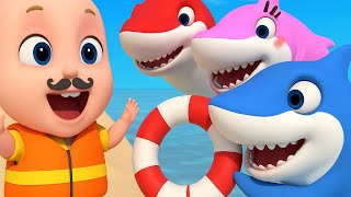 Baby Shark Finger Family 🦈👶 | Baby Bath Time Song | Fun Nursery Rhymes & Kids Songs by Kiky