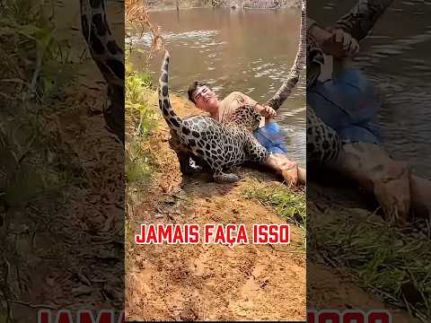 ❌ NUNCA FAÇA ISSO PERTO DE UMA ONÇA 🐆