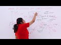 Exponential and Logarithmic Functions