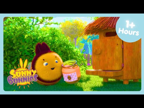 BIG BEE BOO! 🐝 | Cutest Episode Compilation: Sunny Bunnies 🥺 | Cartoons For Kids | WildBrain Bananas