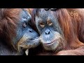 Compassion and Empathy in Science