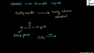 Classification of Lipids