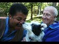 Chaser's Learning and Dog Intelligence