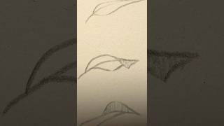 leaf shape guide🍃✍️ #shorts