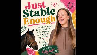 Just Stable Enough: E01 The OTTB Topline Puzzle. The real reason why Sapien wasn’t building Topline 