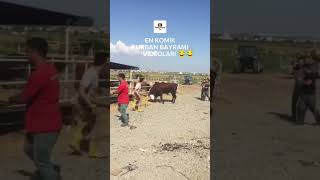 En komik kaçan kurbanlık videoları #komikvideolar #komikpaylasimlar #kurbanbayramı #reels #kesfet
