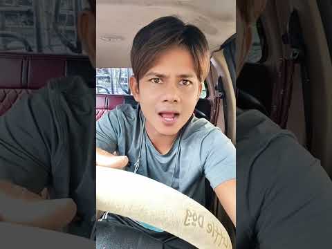 หมาแสนรู้หมาไอ้คิตตี้ช่วยชีวิตพี่เขาไว้รถเกรดระเบิดหมาแสนรู้หมา AI #บังเอิญเจอ #funny #comedy