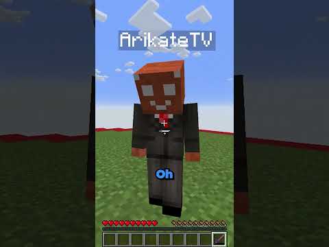 Arikate kennt mein tiefstes Geheimnis... #minecraft #minecraftshorts