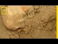 Archaeological Discoveries at Casa de Juarez