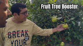 Fruit and. tree booster |