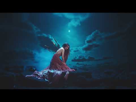 Belinda - Cactus (Visualizer)
