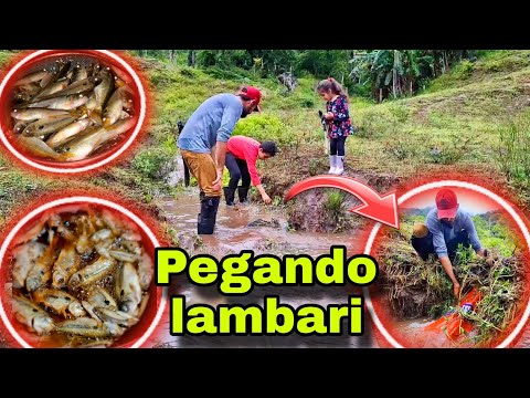 PEGAMOS MUITO PEIXES COM AS CRIANÇAS.