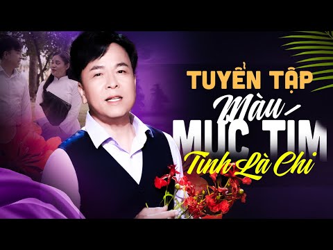 🔥Xúc Động Từ Câu HÁT Đầu Tiên | Liên Khúc MÀU MỰC TÍM | SƠN HẠ | Mỗi năm đến HÈ lòng man mác buồn...
