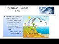 Understanding the Carbon Cycle Processes