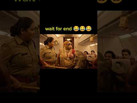 Bandar Bhai Ka lafra ho gaya monkey funny video #Aivlog #monkeyvlogMonkey#ViralAivlog#shorts