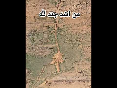 من اشد جند لله