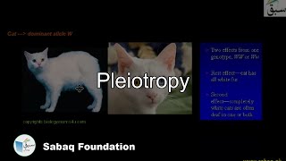 Pleiotropy