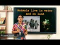 Animal Habitats and Adaptations