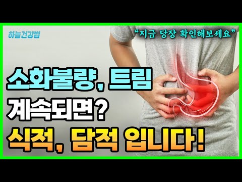 식적 담적 의심 증상 - 소화불량, 채끼, 트림, 배 딱딱, 명치 통증 등.  식적의 원인