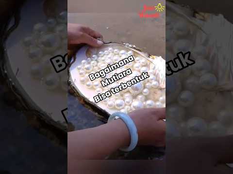 Bagaimana mutiara dapat terbentuk