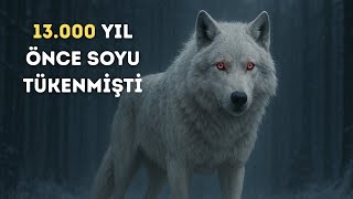 Game of Thrones'taki Ulu Kurt Artık Gerçek!