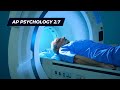 Brain Imaging Techniques and Limitations
