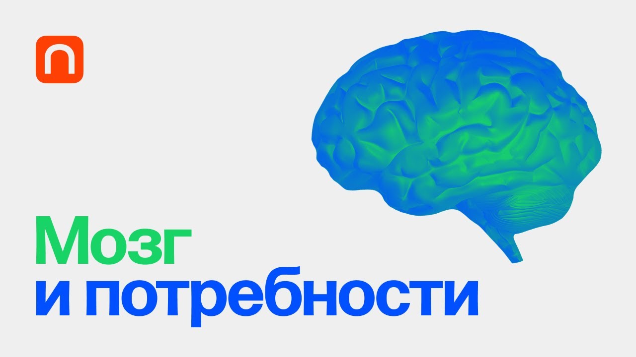 Мозг и потребности - курс Вячеслава Дубынина