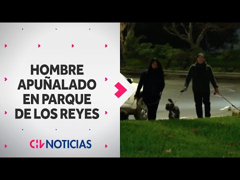 Paseaba a su perro y LO APUÑALARON: Hombre sufrió violento asalto en Parque de Los Reyes