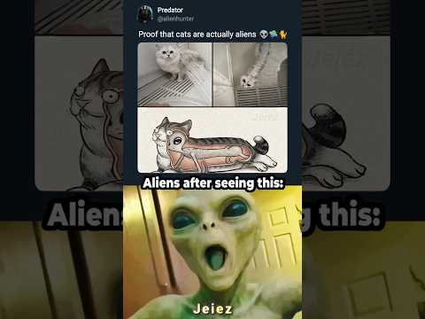 The truth about cats finally revealed ๐ฑ